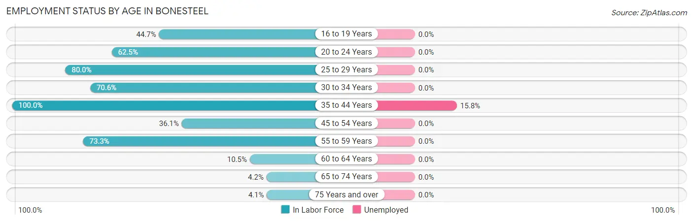 Employment Status by Age in Bonesteel