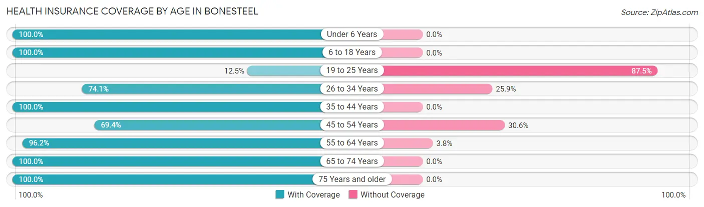 Health Insurance Coverage by Age in Bonesteel