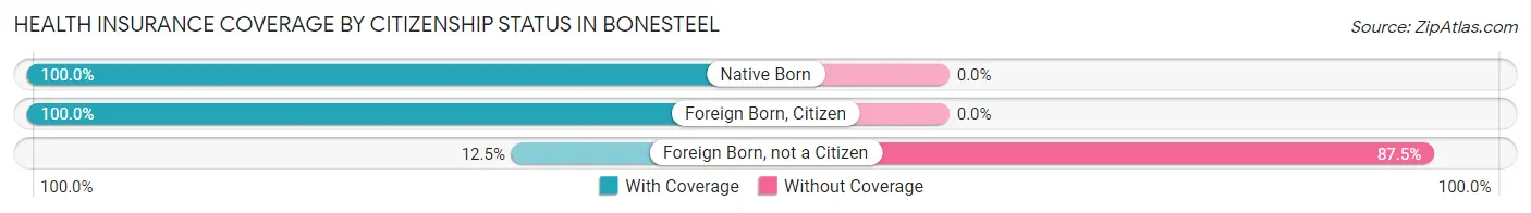 Health Insurance Coverage by Citizenship Status in Bonesteel