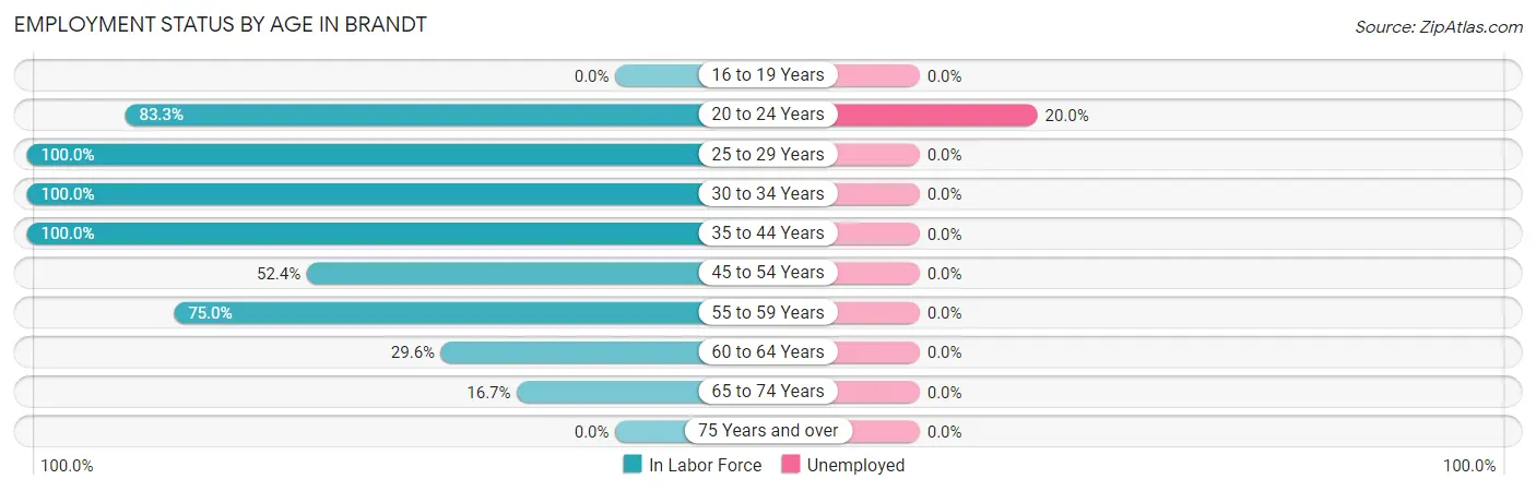 Employment Status by Age in Brandt