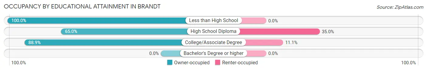 Occupancy by Educational Attainment in Brandt