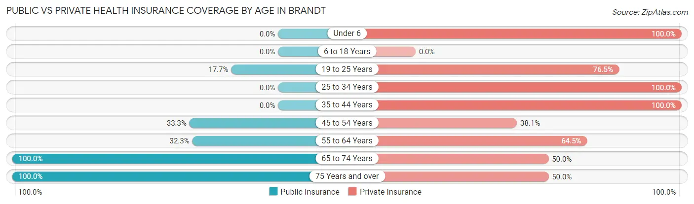 Public vs Private Health Insurance Coverage by Age in Brandt