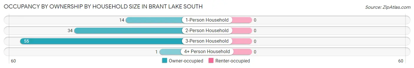 Occupancy by Ownership by Household Size in Brant Lake South