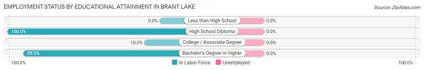 Employment Status by Educational Attainment in Brant Lake