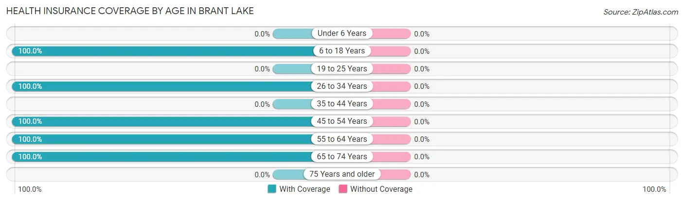 Health Insurance Coverage by Age in Brant Lake