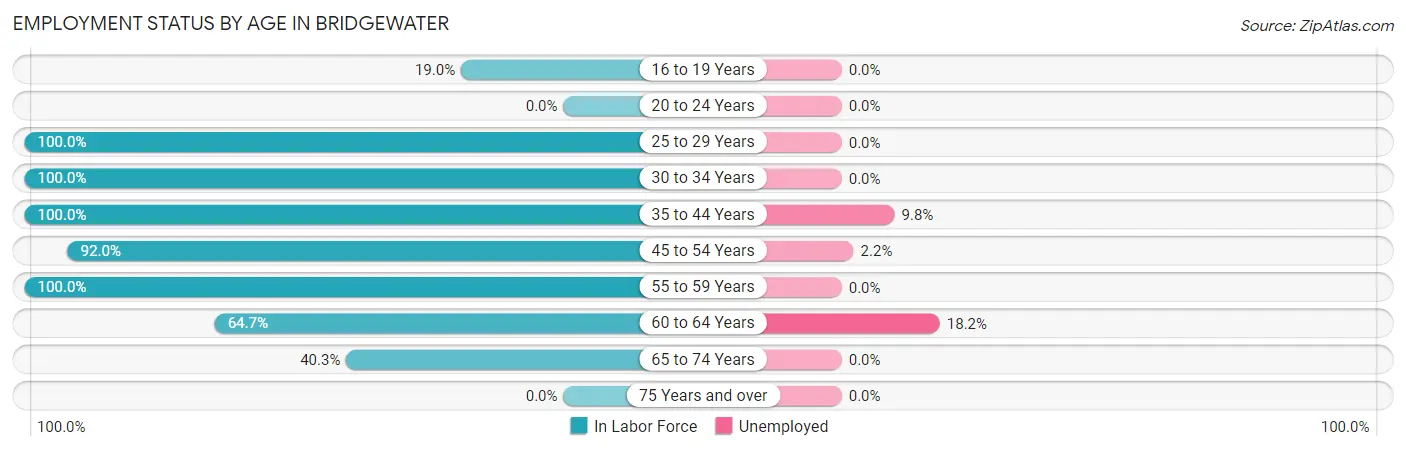Employment Status by Age in Bridgewater
