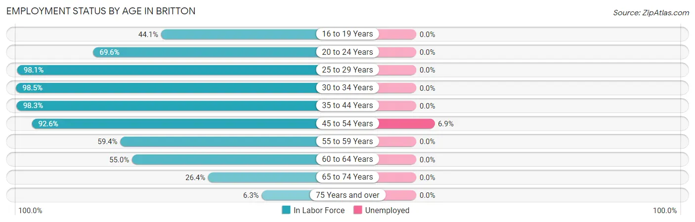 Employment Status by Age in Britton