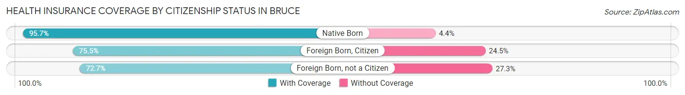 Health Insurance Coverage by Citizenship Status in Bruce