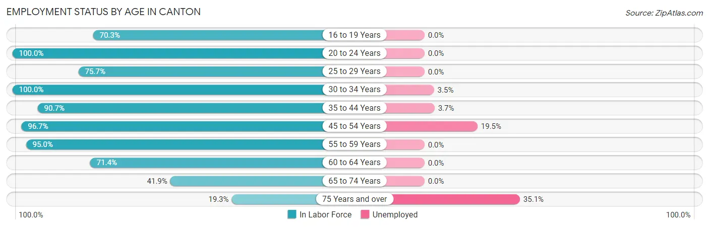 Employment Status by Age in Canton