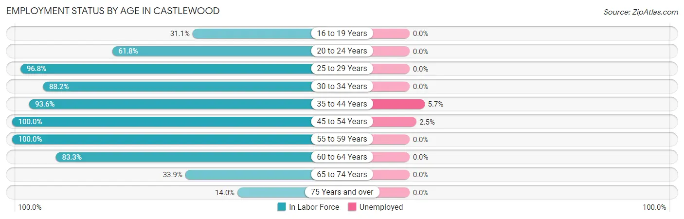 Employment Status by Age in Castlewood