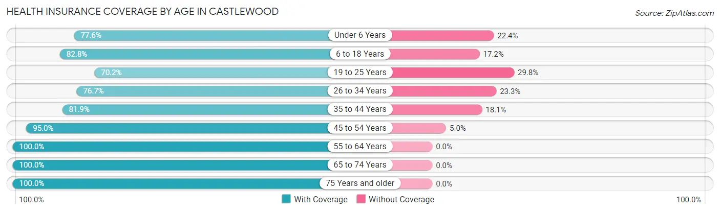 Health Insurance Coverage by Age in Castlewood