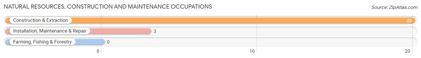 Natural Resources, Construction and Maintenance Occupations in Central City