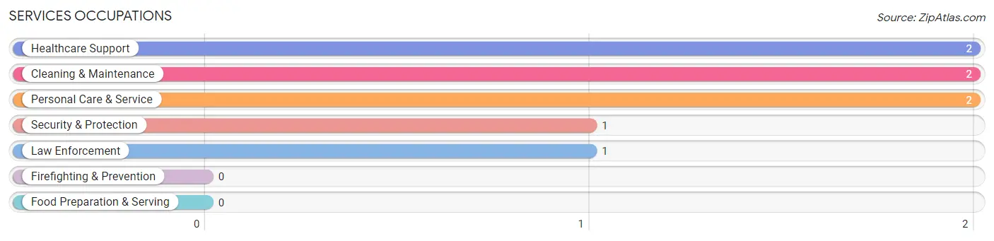 Services Occupations in Central City