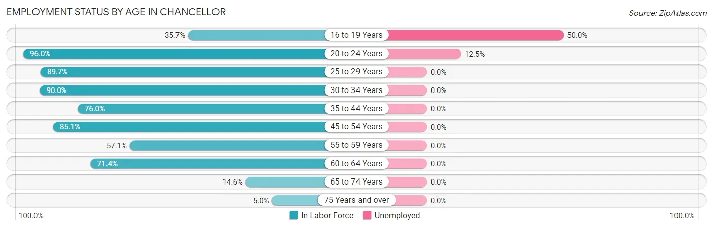 Employment Status by Age in Chancellor