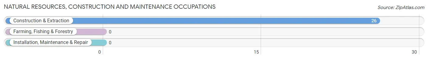 Natural Resources, Construction and Maintenance Occupations in Colonial Pine Hills