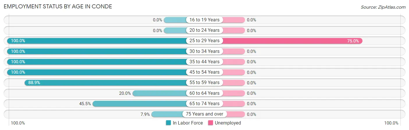 Employment Status by Age in Conde