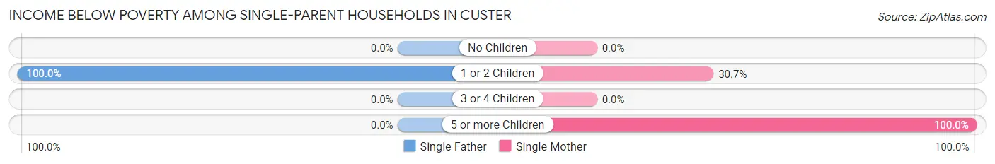 Income Below Poverty Among Single-Parent Households in Custer