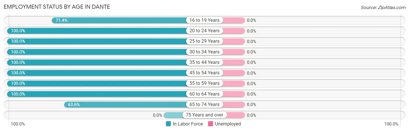 Employment Status by Age in Dante