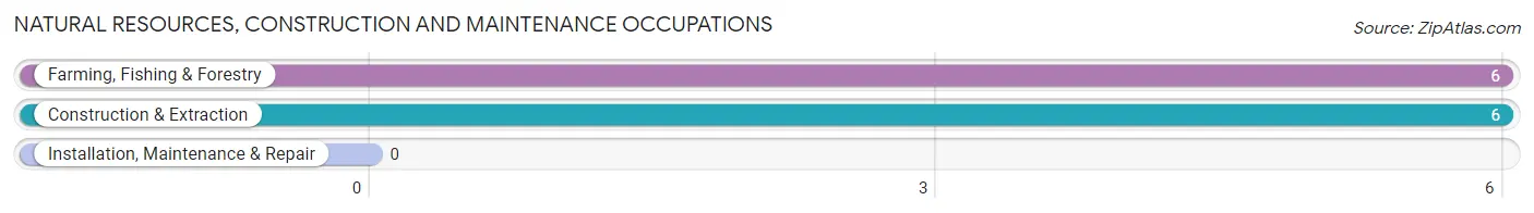 Natural Resources, Construction and Maintenance Occupations in Dante