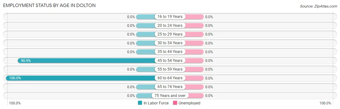 Employment Status by Age in Dolton