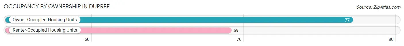 Occupancy by Ownership in Dupree