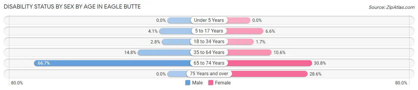Disability Status by Sex by Age in Eagle Butte