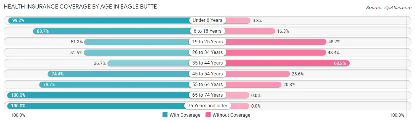 Health Insurance Coverage by Age in Eagle Butte