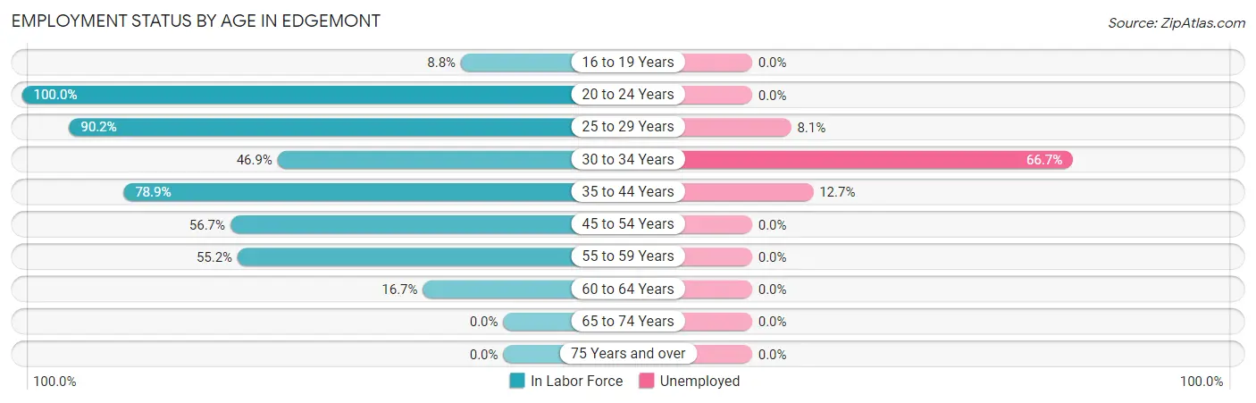 Employment Status by Age in Edgemont