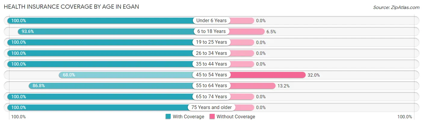 Health Insurance Coverage by Age in Egan