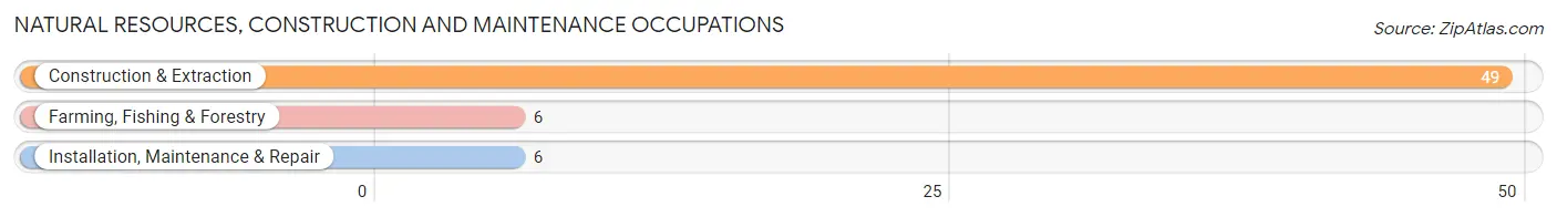 Natural Resources, Construction and Maintenance Occupations in Faulkton