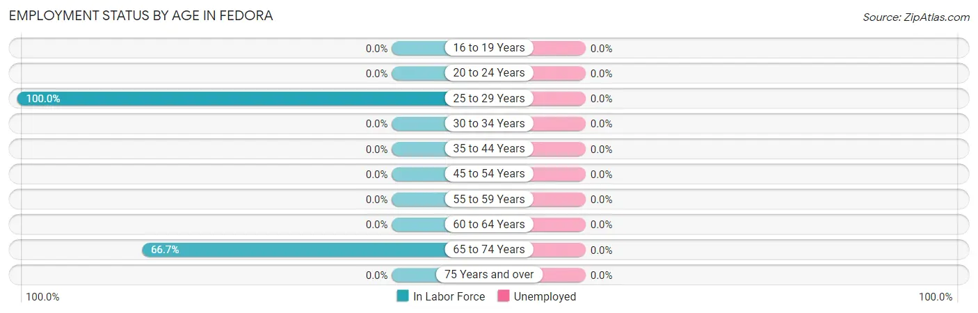 Employment Status by Age in Fedora
