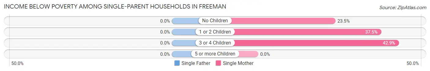 Income Below Poverty Among Single-Parent Households in Freeman