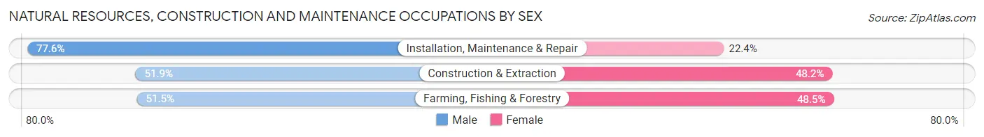 Natural Resources, Construction and Maintenance Occupations by Sex in Freeman