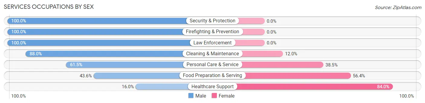 Services Occupations by Sex in Freeman