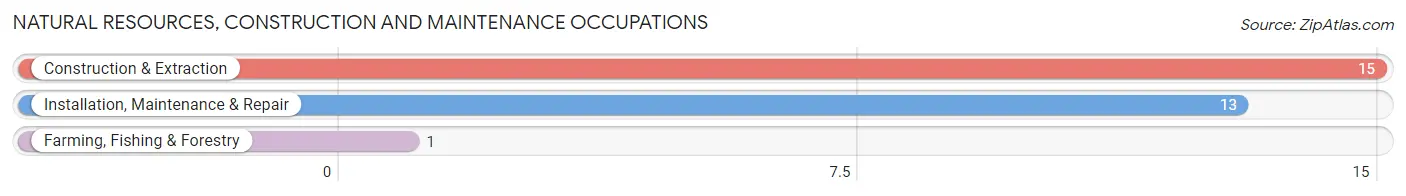 Natural Resources, Construction and Maintenance Occupations in Gary