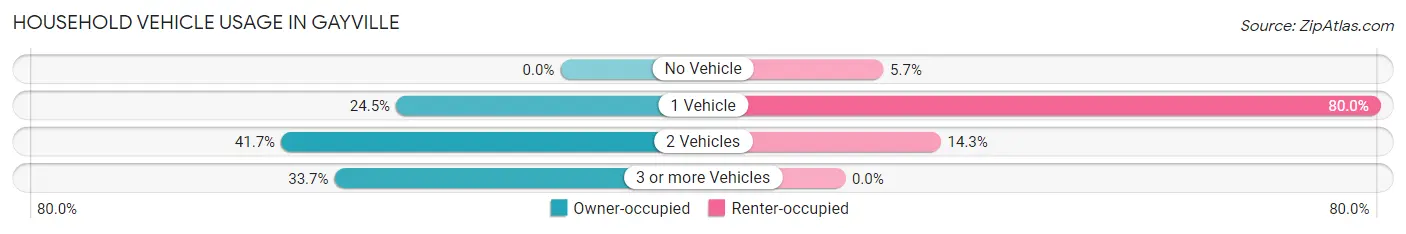 Household Vehicle Usage in Gayville