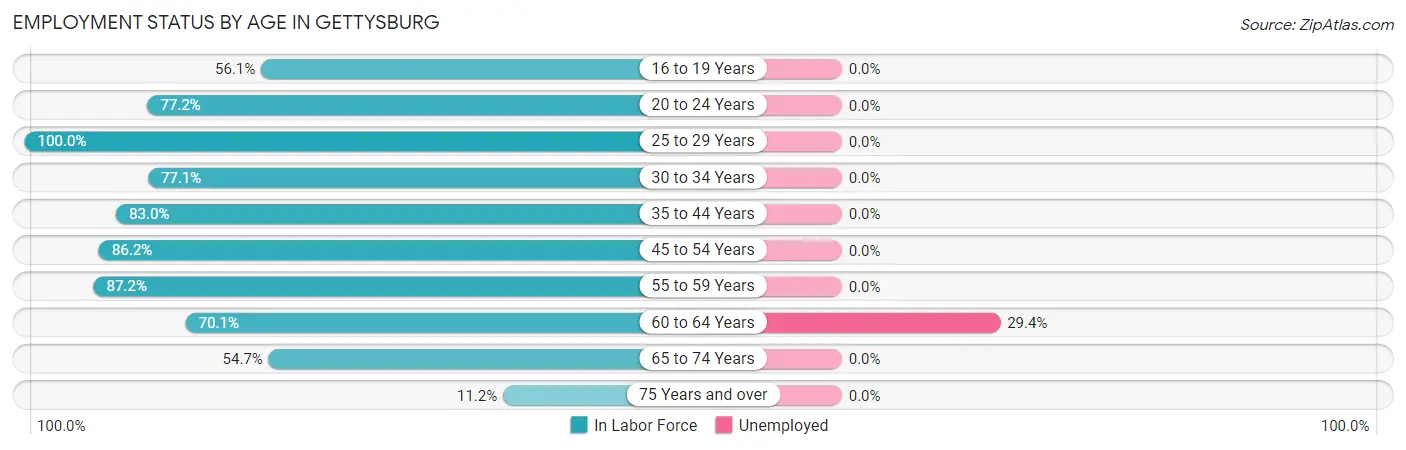 Employment Status by Age in Gettysburg