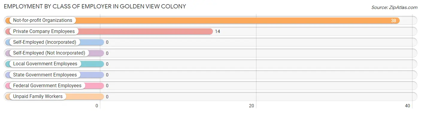 Employment by Class of Employer in Golden View Colony