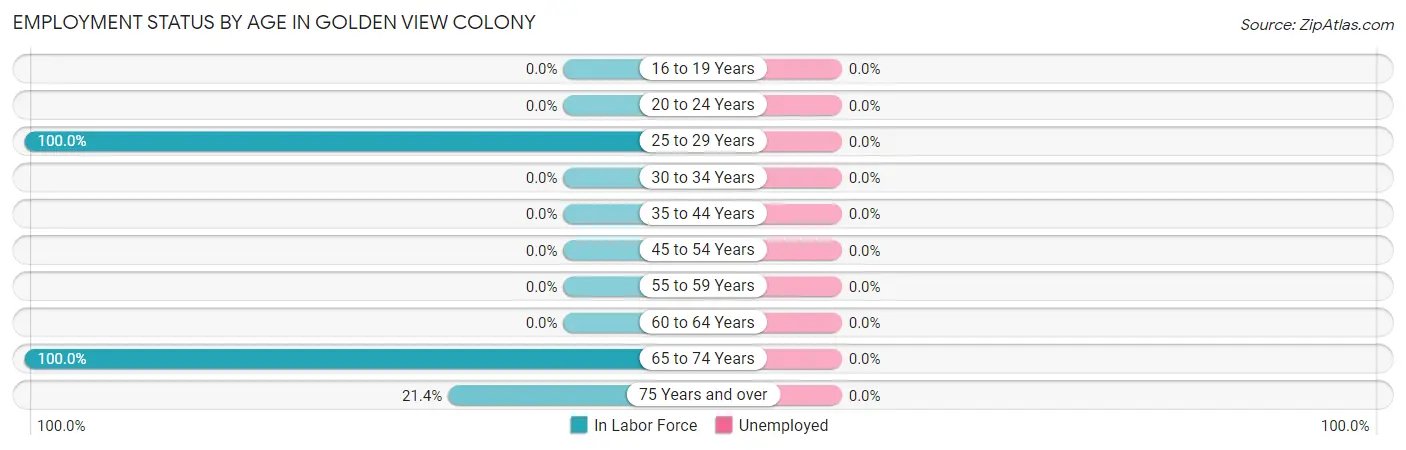 Employment Status by Age in Golden View Colony