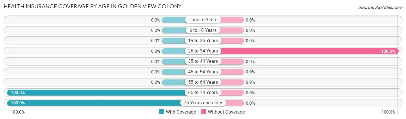 Health Insurance Coverage by Age in Golden View Colony