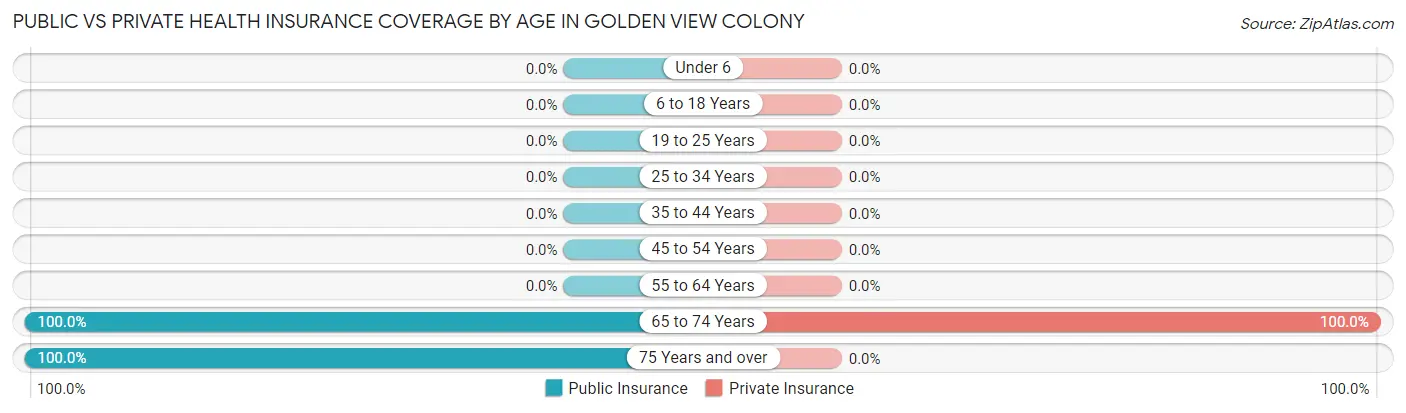 Public vs Private Health Insurance Coverage by Age in Golden View Colony