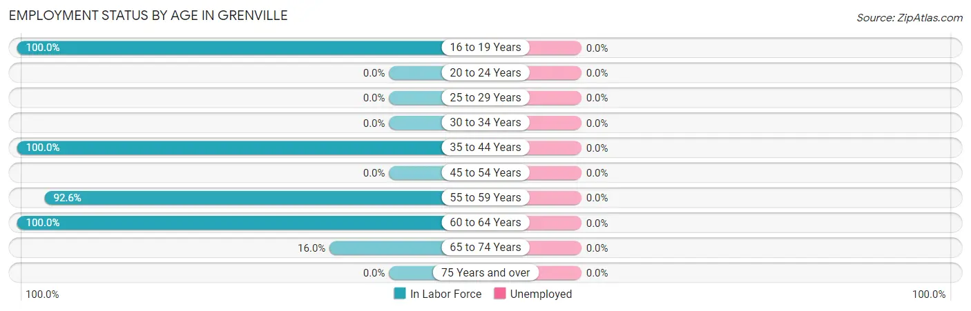 Employment Status by Age in Grenville