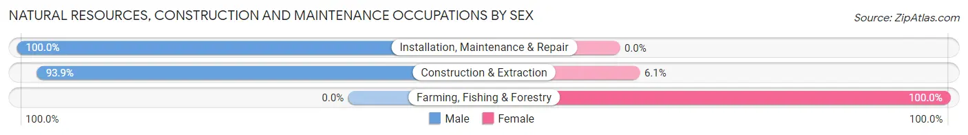 Natural Resources, Construction and Maintenance Occupations by Sex in Hayti