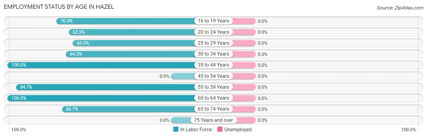 Employment Status by Age in Hazel