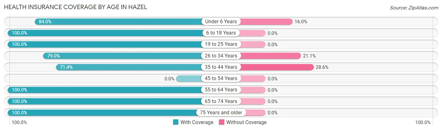 Health Insurance Coverage by Age in Hazel