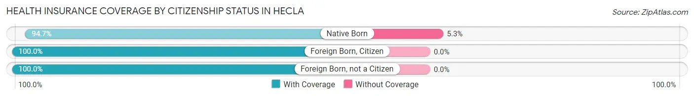 Health Insurance Coverage by Citizenship Status in Hecla