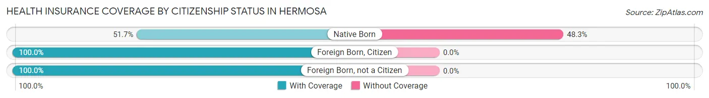 Health Insurance Coverage by Citizenship Status in Hermosa