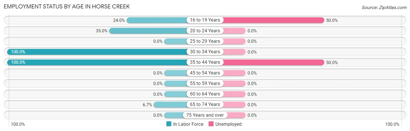 Employment Status by Age in Horse Creek