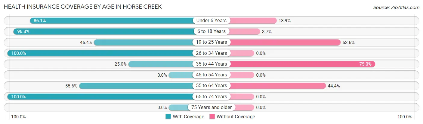 Health Insurance Coverage by Age in Horse Creek