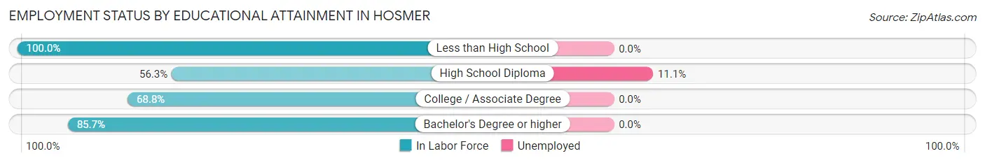 Employment Status by Educational Attainment in Hosmer